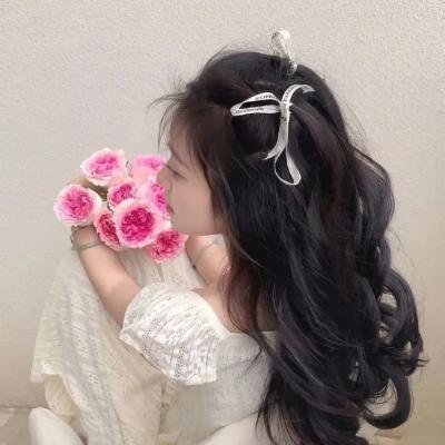 阿翁丽的青春